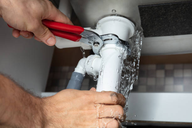 Best Professional water damage repair  in Ingalls Park, IL