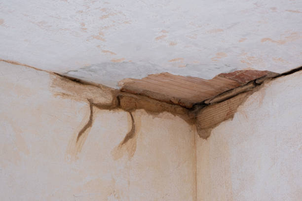 Best Ceiling water damage repair  in Ingalls Park, IL