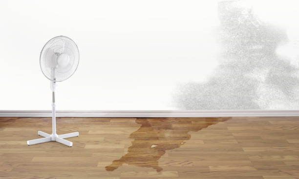 Best Flood damage cleanup  in Ingalls Park, IL