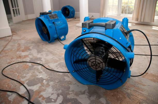 Best Flood damage cleanup  in Ingalls Park, IL