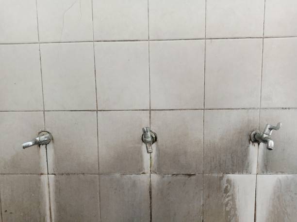 Best Flooded house restoration  in Ingalls Park, IL