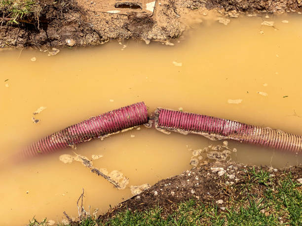 Best Sewage cleanup and water damage restoration  in Ingalls Park, IL
