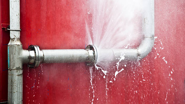 Best Mold removal after water damage  in Ingalls Park, IL